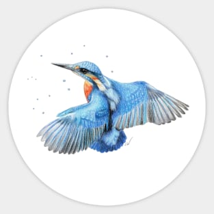 Kingfisher Pencil Drawing Sticker